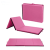 Folding Land Mat-Crash Mat-Gymnastics Landing Mat-Manufacturer in China