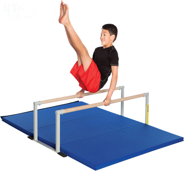 Manufacturer Of Gymnastic Crash Mat-Crash Mat-Gym Landing Mat