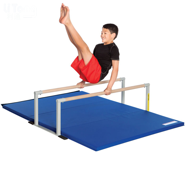 Gymnastic Practice Landing Crash Mats-Landing Mat-Gym Crash Mat-Make in China