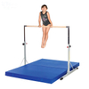 Manufacturer Of Gymnastic Crash Mat-Crash Mat-Gym Landing Mat