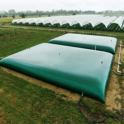 pillow tank water storage bladder supplier by foshan litong fanpeng factory in china